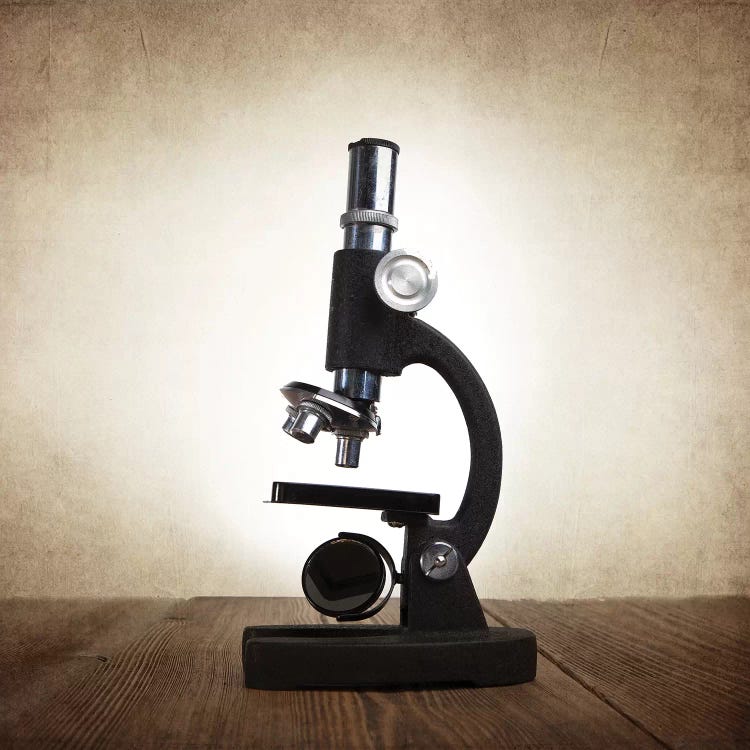Microscope by Saint and Sailor Studios wall art