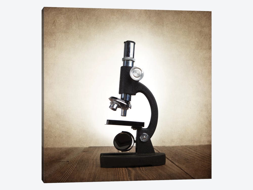 Microscope by Saint and Sailor Studios 1-piece Canvas Print