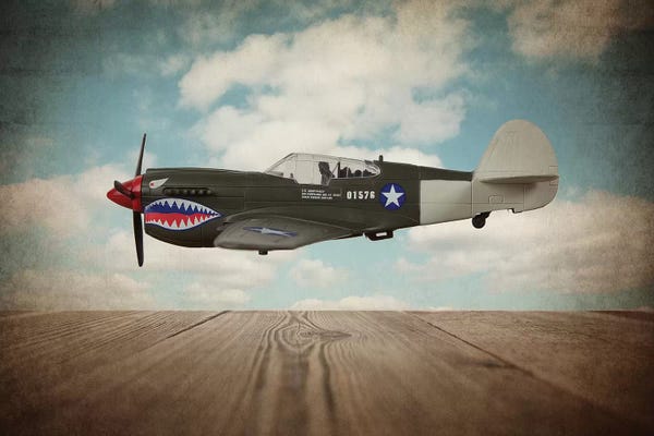 Saint and Sailor Studios: P40 Mustang by Saint and Sailor Studios