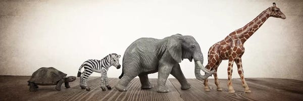 Saint and Sailor Studios: Safari Line II by Saint and Sailor Studios
