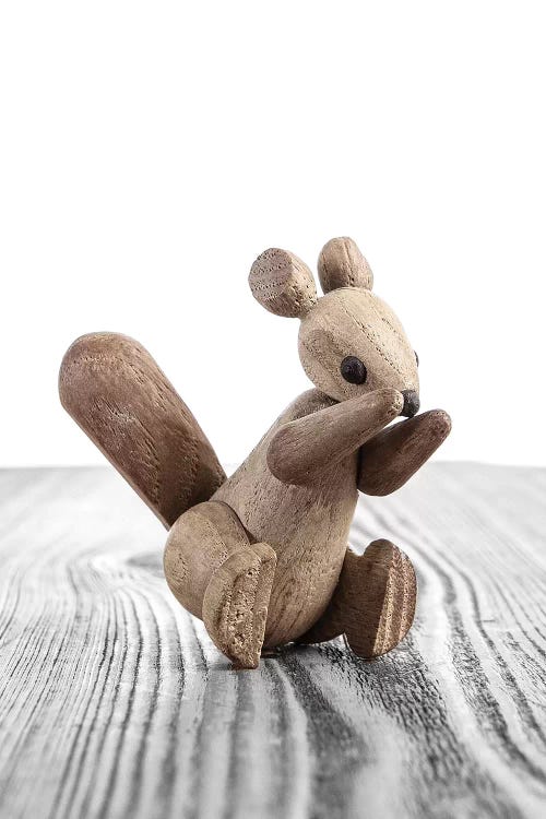 Squirrel Zooline