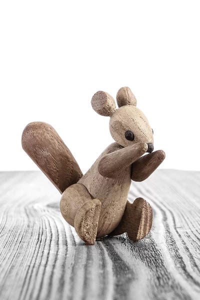 Squirrels: Squirrel Zooline by Saint and Sailor Studios