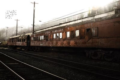 Train Birds by Saint and Sailor Studios art print