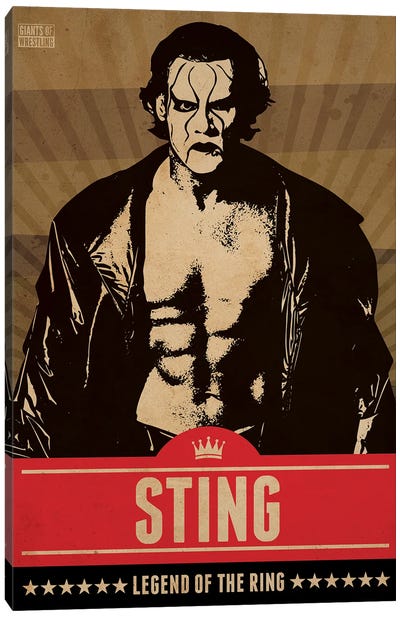 Sting Canvas Art Print - Limited Edition Sports Art