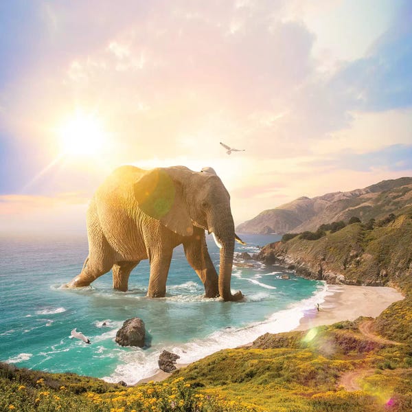 Giraffes: Trouvaille Elephant Pastel by Soaring Anchor Designs