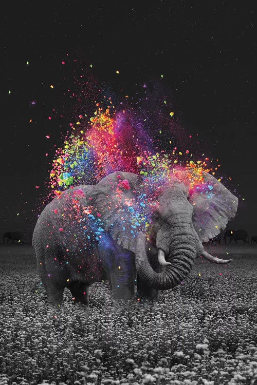 colorful elephant drawing