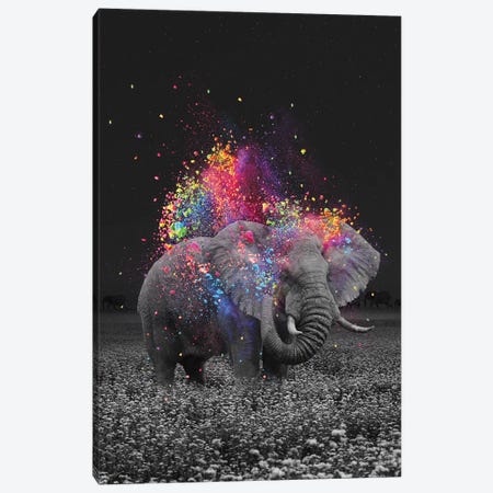 True Colors Elephant Canvas Print #SOA106} by Soaring Anchor Designs Canvas Art