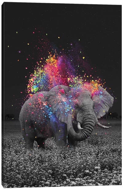 True Colors Elephant Canvas Art Print - Elephant Art