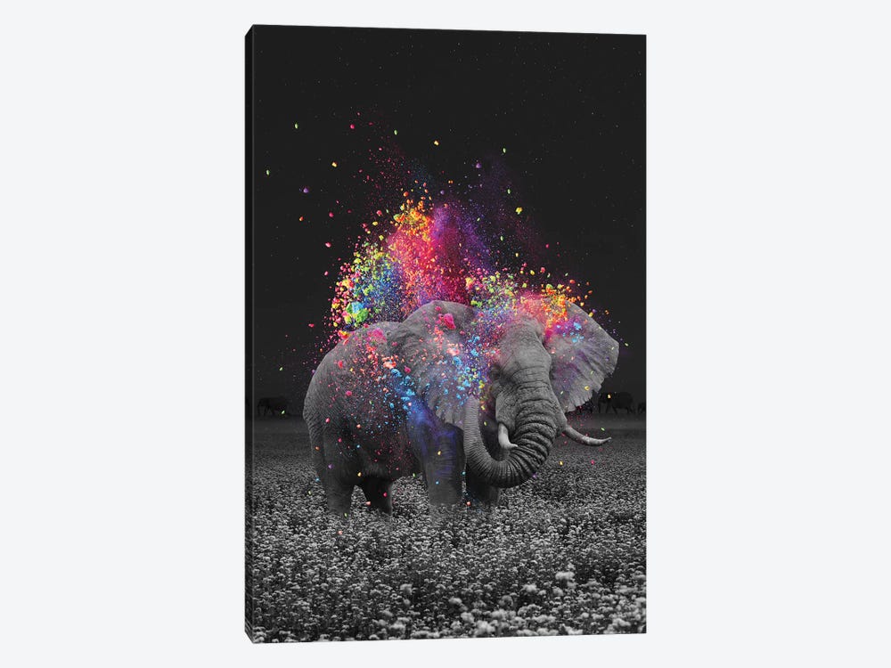 True Colors Elephant 1-piece Canvas Art
