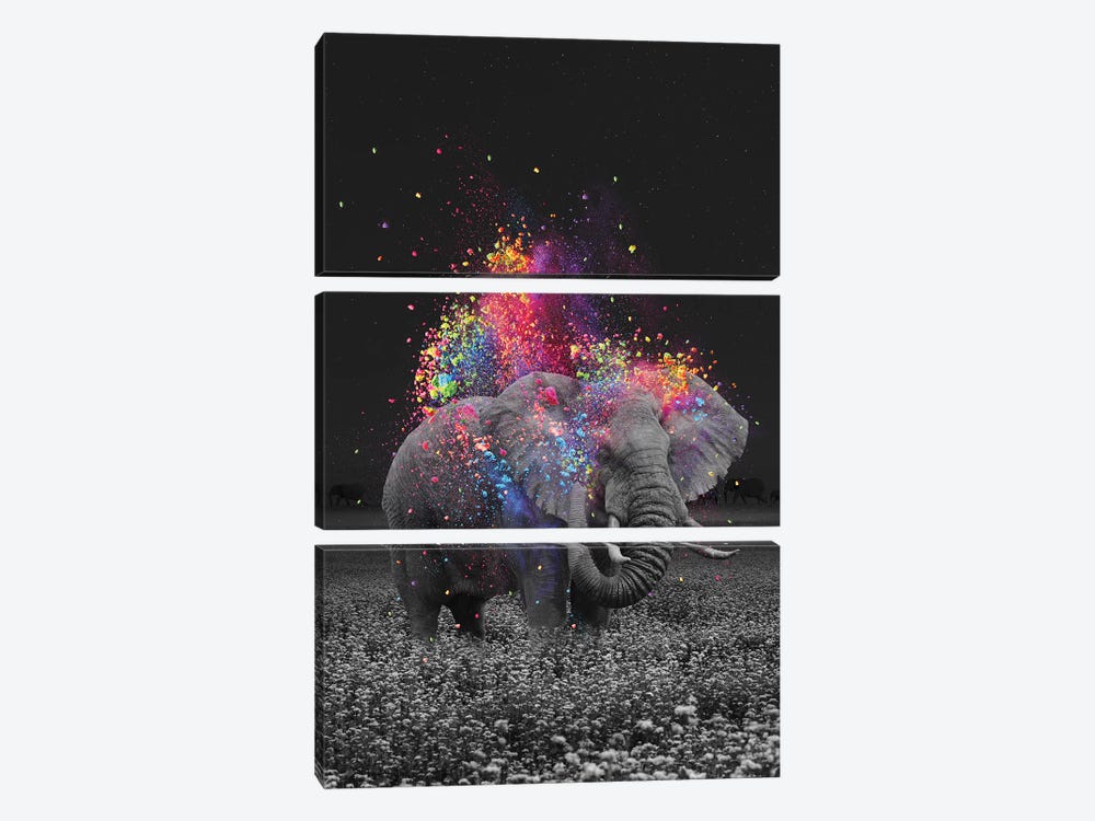 True Colors Elephant by Soaring Anchor Designs 3-piece Canvas Art