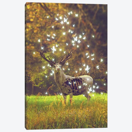 White Deer Light Within Canvas Print #SOA107} by Soaring Anchor Designs Canvas Artwork