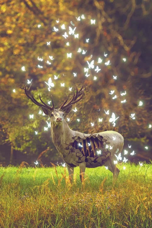 White Deer Light Within by Soaring Anchor Designs wall art