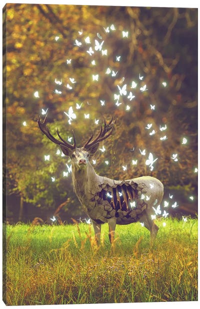 White Deer Light Within Canvas Art Print - Soaring Anchor Designs