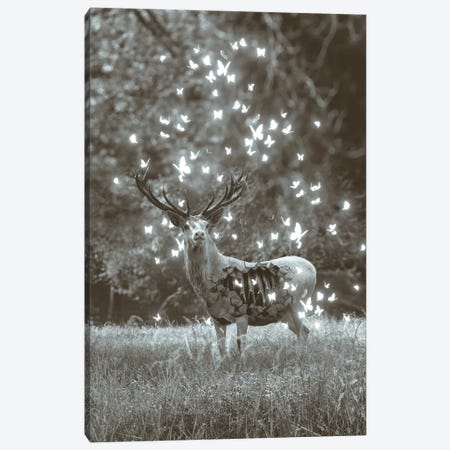 White Deer Light Within In Black & White Canvas Print #SOA108} by Soaring Anchor Designs Canvas Print