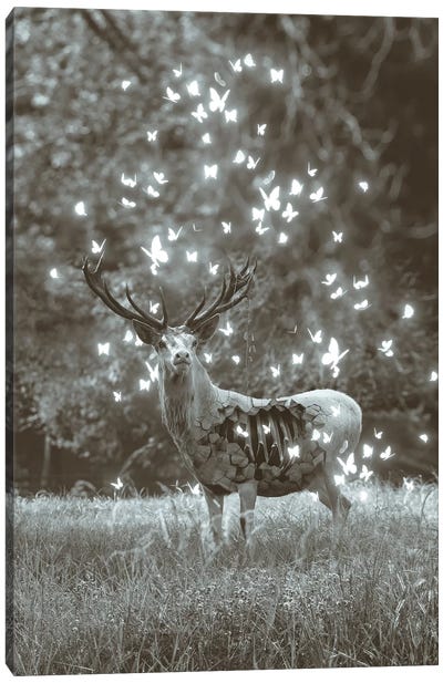 White Deer Light Within In Black & White Canvas Art Print - Soaring Anchor Designs