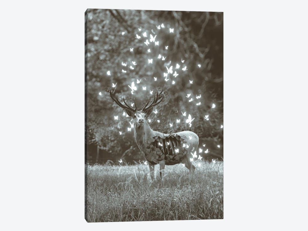 White Deer Light Within In Black & White by Soaring Anchor Designs 1-piece Canvas Wall Art