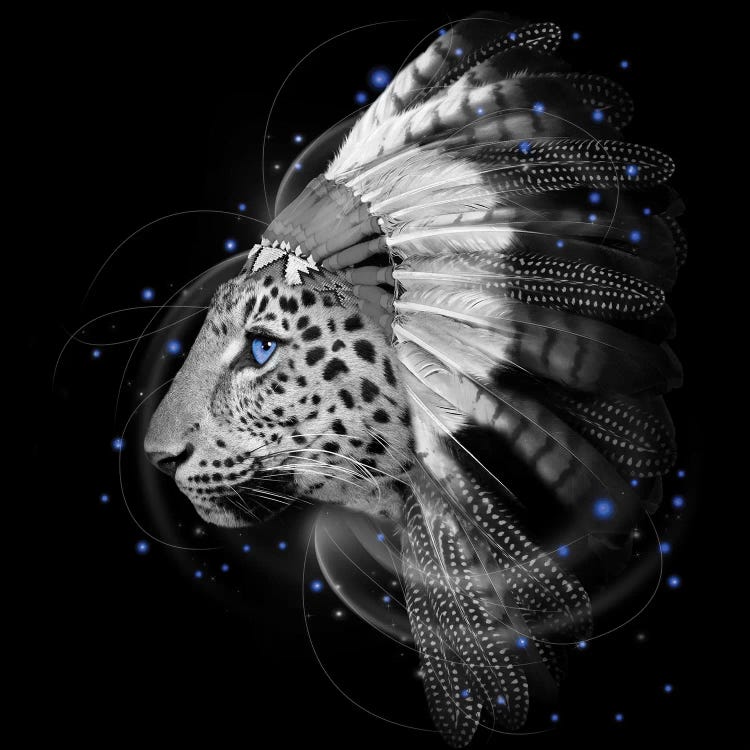 Chief Leopard In Black & White