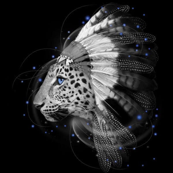 Leopards: Chief Leopard In Black & White by Soaring Anchor Designs