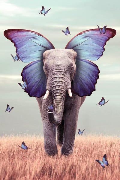 Elephant Blue Morpho Lenity Mint by Soaring Anchor Designs framed wall art