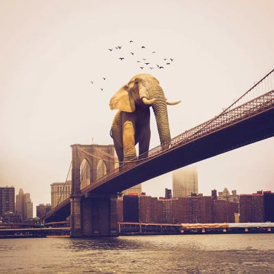 Elephant Bridge Amble by Soaring Anchor Designs framed wall art