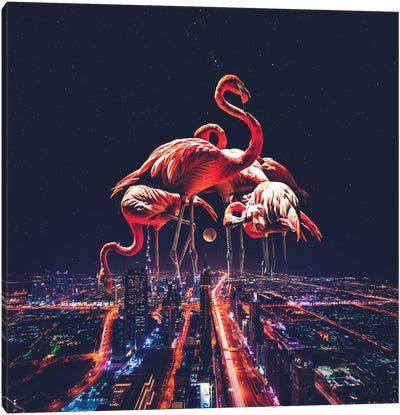 Flamingo Nights Faded Canvas Art Print - Imagination Art