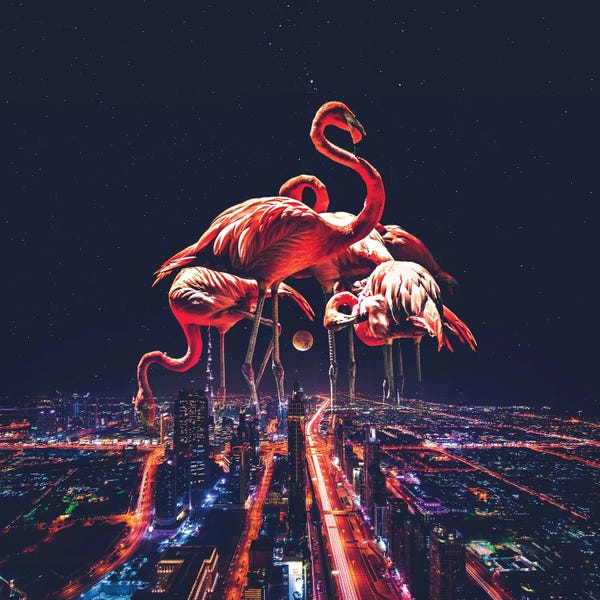 Imagination: Flamingo Nights Faded by Soaring Anchor Designs