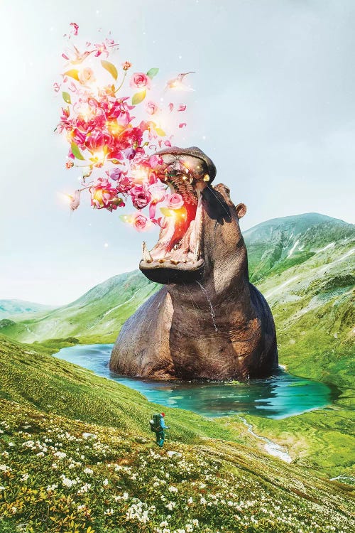 From Within Hippo Wading