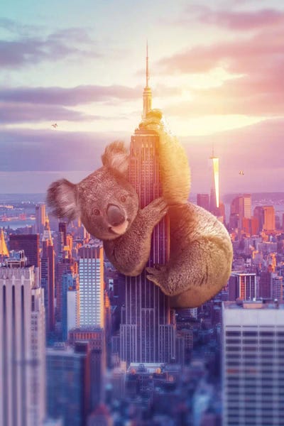 Koalas: Koala Kong NYC by Soaring Anchor Designs