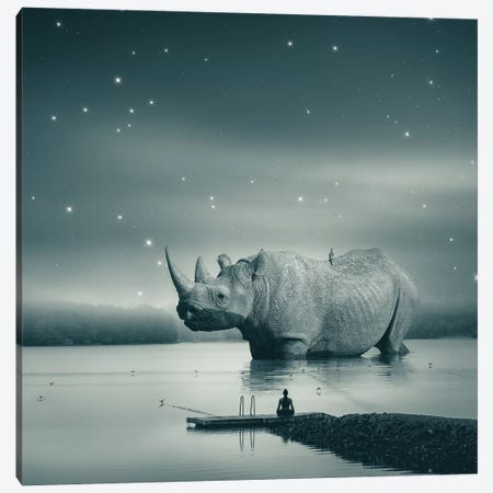 Rhino Zen Gray Blue Canvas Print #SOA118} by Soaring Anchor Designs Canvas Artwork