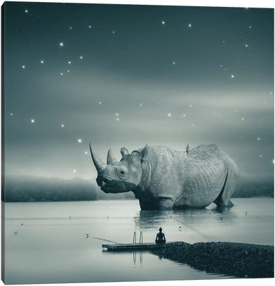 Rhino Zen Gray Blue Canvas Art Print - Gentle Giants