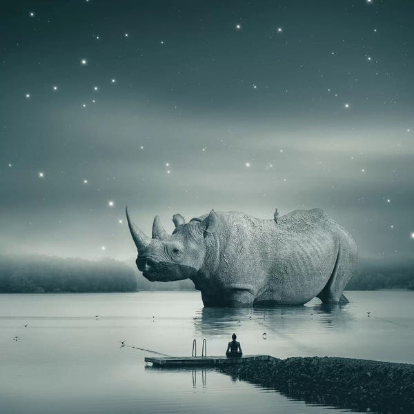 Rhinoceroses: Rhino Zen Gray Blue by Soaring Anchor Designs