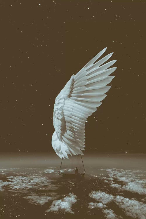 Sail Away Angel Wing 