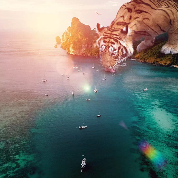 Tiger Drink Color by Soaring Anchor Designs wall art