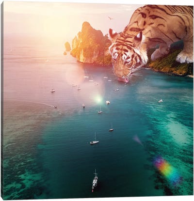 Tiger Drink Color Canvas Art Print - Gentle Giants
