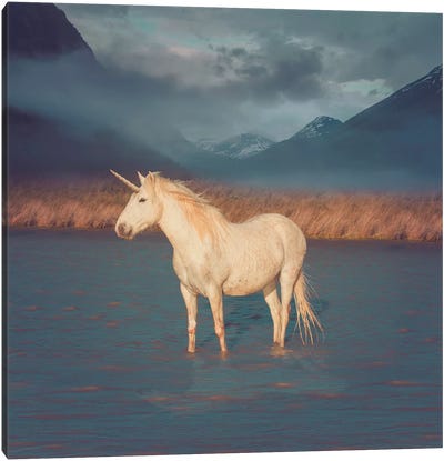Unicorn Oil Slick Canvas Art Print - Imagination Art