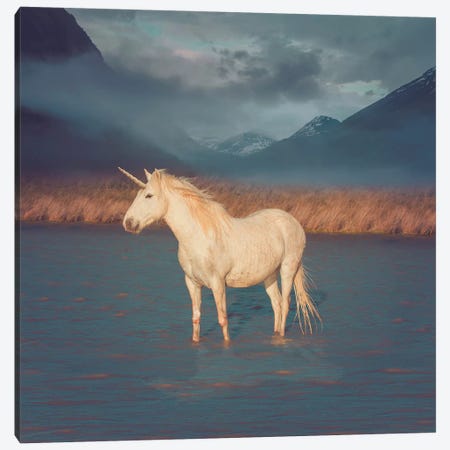 Unicorn Oil Slick Canvas Print #SOA123} by Soaring Anchor Designs Canvas Art Print