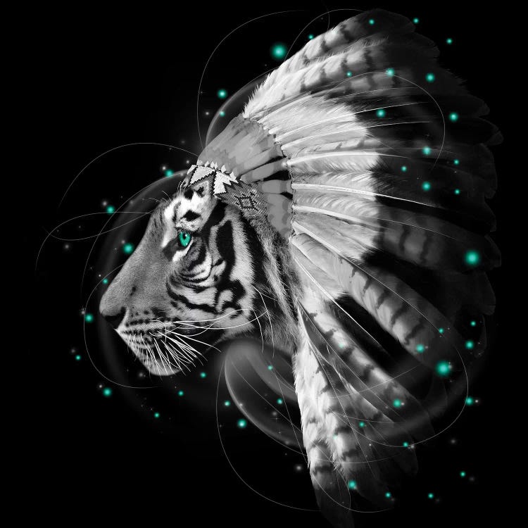 Chief Tiger In Black & White