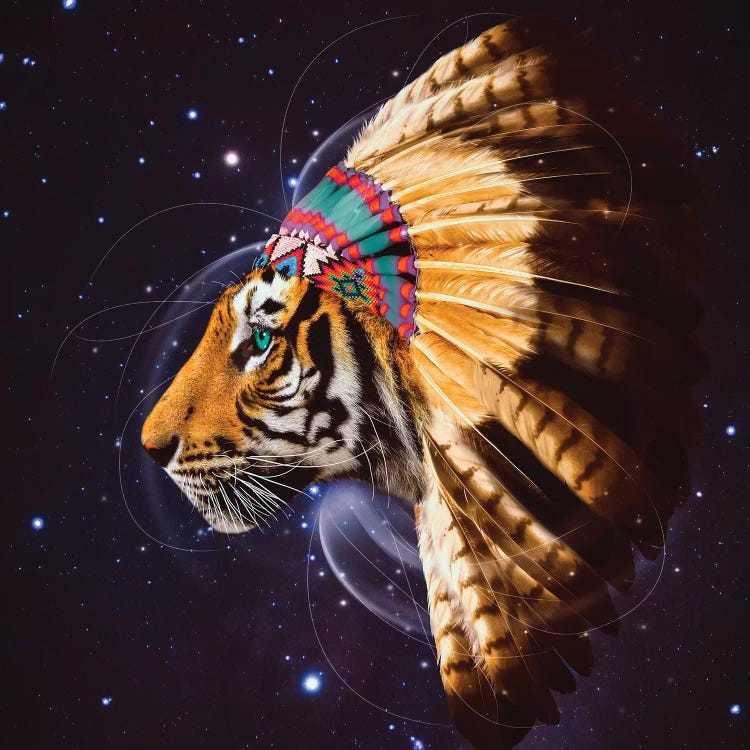 Chief Tiger In Color