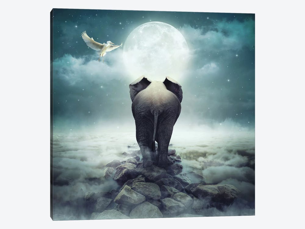 Darkness Of The Unknown by Soaring Anchor Designs 1-piece Canvas Print