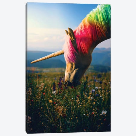 Daydreaming Unicorn Rainbow Canvas Print #SOA19} by Soaring Anchor Designs Canvas Art Print