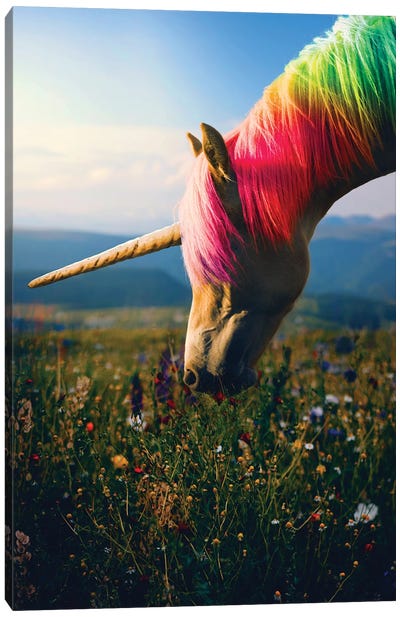 Daydreaming Unicorn Rainbow Canvas Art Print