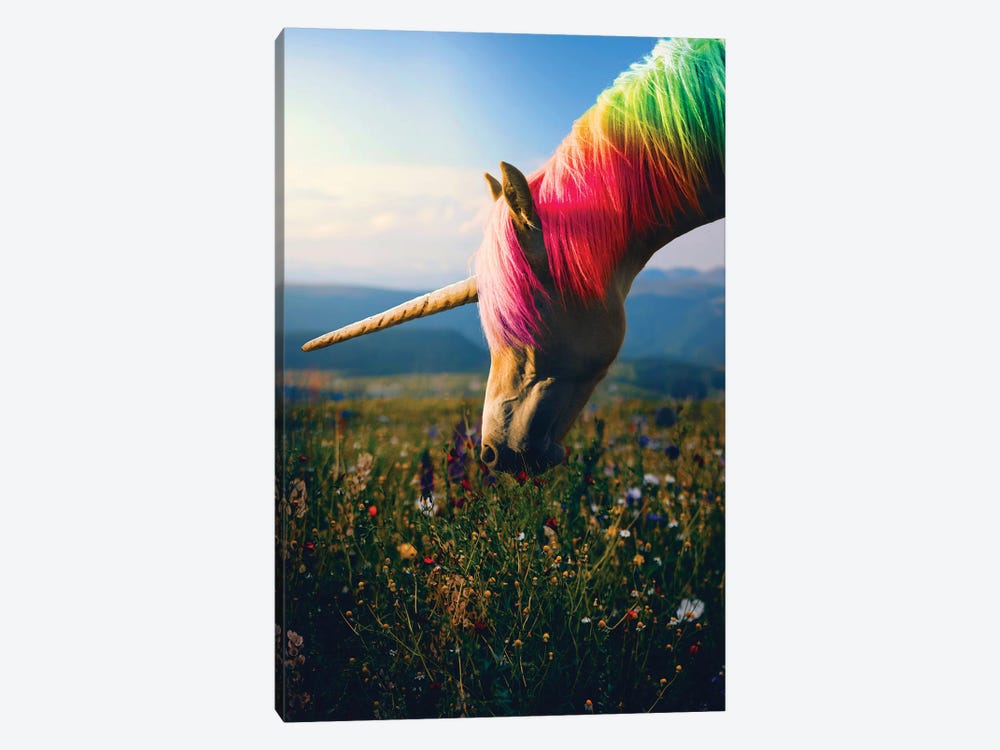 Daydreaming Unicorn Rainbow by Soaring Anchor Designs 1-piece Canvas Artwork