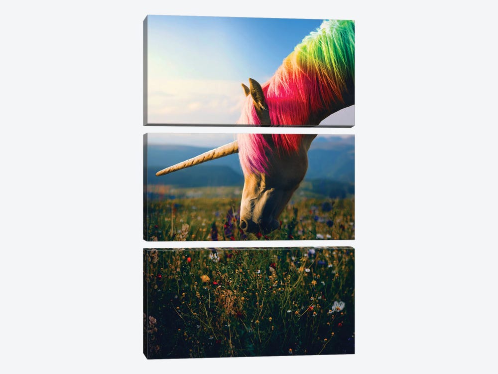 Daydreaming Unicorn Rainbow by Soaring Anchor Designs 3-piece Canvas Artwork