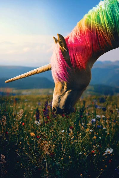 Kids Inspirational Art: Daydreaming Unicorn Rainbow by Soaring Anchor Designs