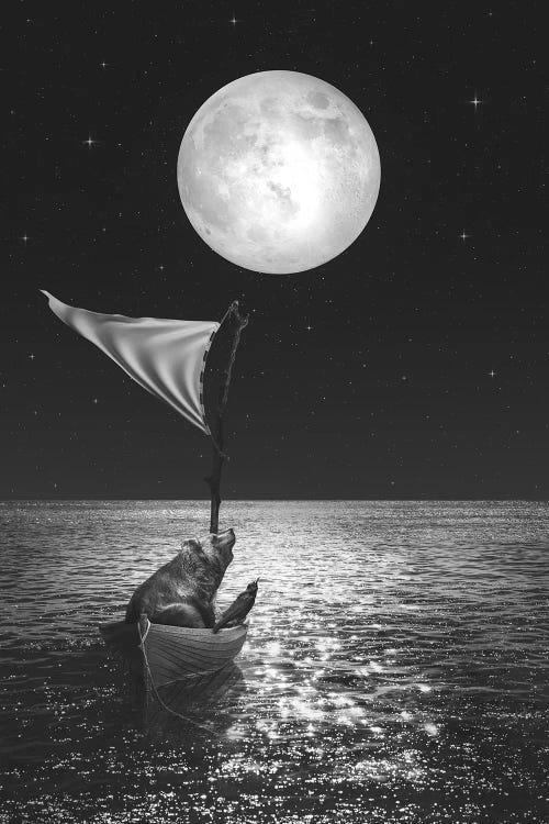 Adrift by Soaring Anchor Designs wall art