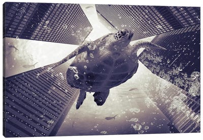 Dormiveglia - Sea Turtles Canvas Art Print - Soaring Anchor Designs