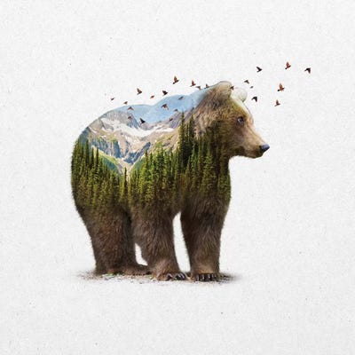 Double Exposure - Bear by Soaring Anchor Designs multi panel art