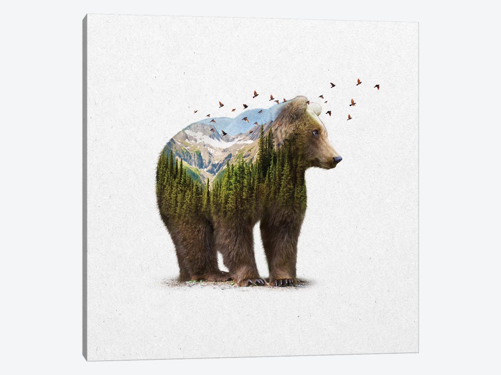 Double Exposure - Bear by Soaring Anchor Designs 1-piece Canvas Art Print