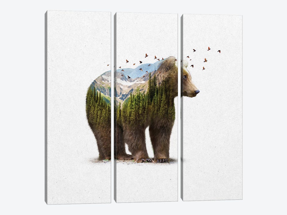 Double Exposure - Bear by Soaring Anchor Designs 3-piece Art Print