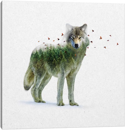 Double Exposure - Wolf Canvas Art Print - Wolf Art